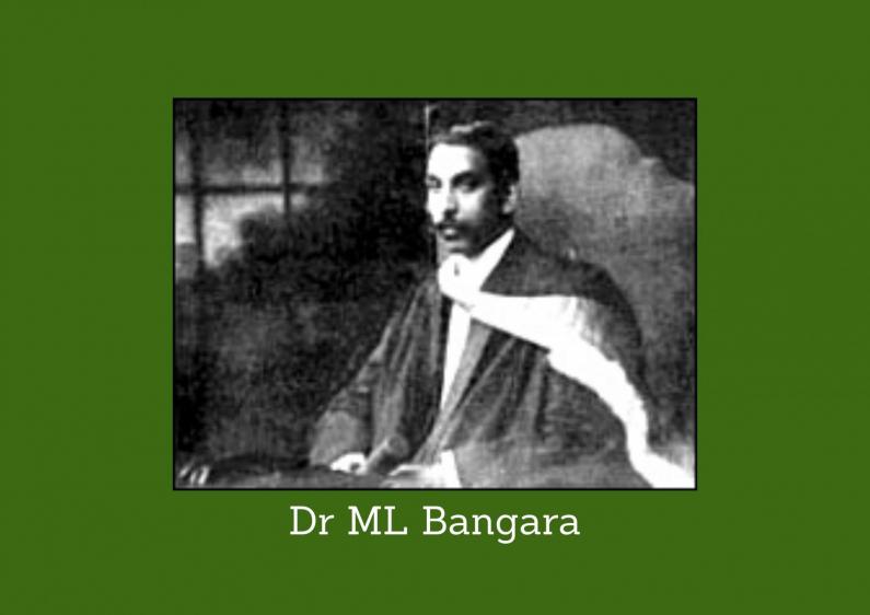 Dr ML Bangara website image