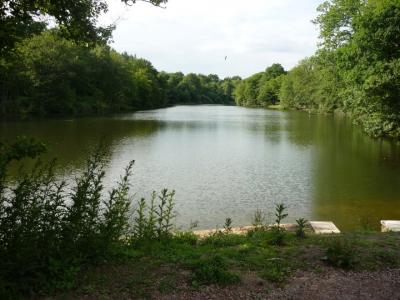 Cannop Ponds